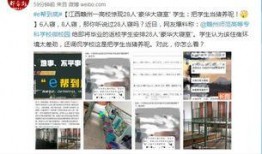 赣州学生爆料新闻最新消息,校园事件引发关注，真相即将揭晓
