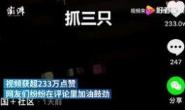 香港义工爆料视频下载网,揭秘幕后真相